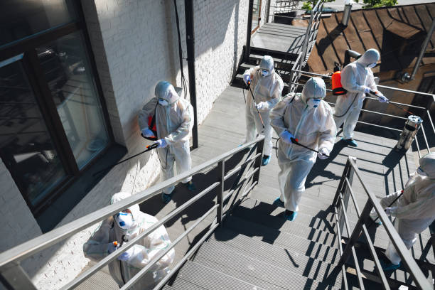 Best Mold Prevention Services  in Ferron, UT
