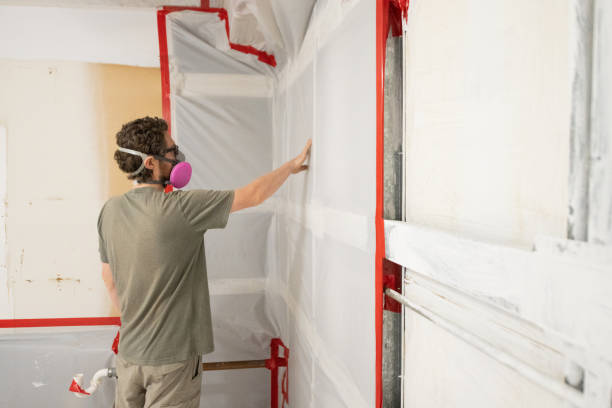 Best Residential Mold Inspection & Testing  in Ferron, UT