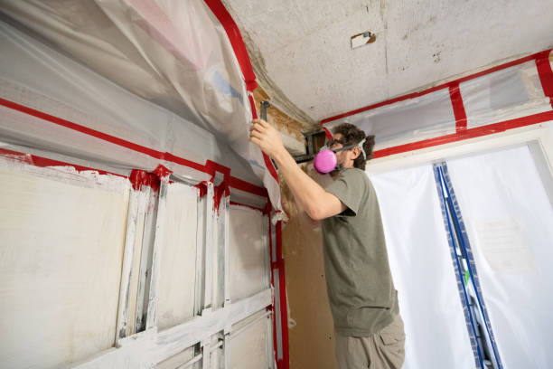  Ferron, UT Mold Removal Pros
