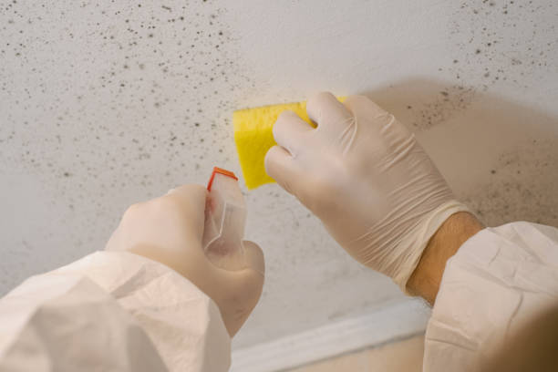Best Dehumidification Services  in Ferron, UT
