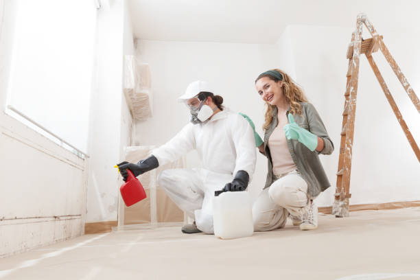 Best Emergency Mold Remediation  in Ferron, UT