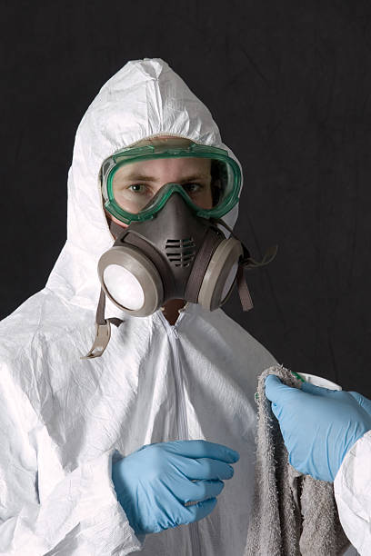 Mold Remediation for Vacation Homes in Ferron, UT